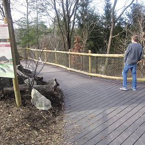 Feb. 2012-Wolf Woods Renovation