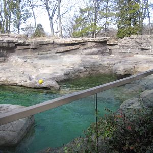 Feb. 2012-Sea Lion Exhibit Land Area