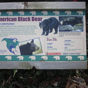Feb. 2012-Sign at the Bear Line