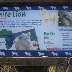 Feb. 2012-Sign at White Lions of Timbavati