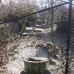 Feb. 2012-White Lions of Timbavati