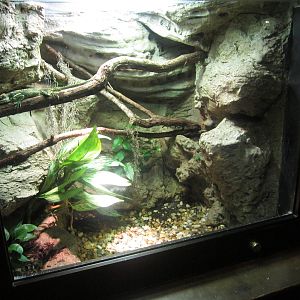 Feb. 2012-Knight Anole exhibit