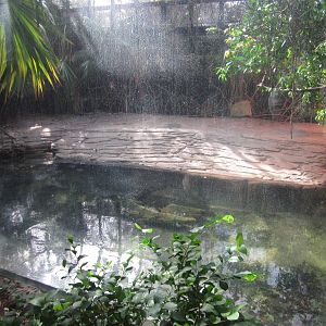 Feb. 2012-American Crocodile exhibit