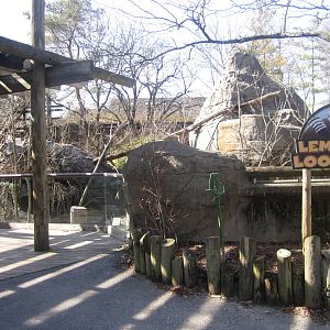 Feb. 2012-Lemur Lookout