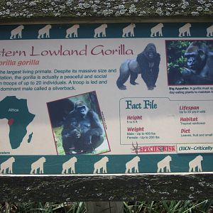 Gorilla Sign at Gorilla World