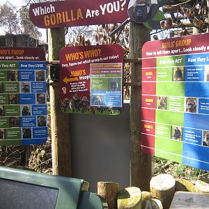 Feb. 2012-Gorilla World-Gorilla Identification Signs