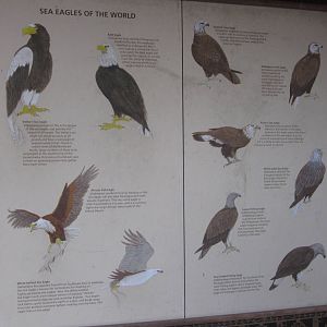 Feb. 2012-Sign at Eagle Eyrie