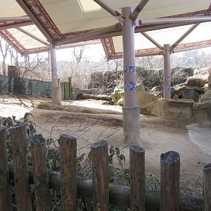 Feb. 2012-Sumatran rhinoceros exhibit