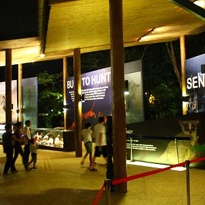 Entrance plaza expansion