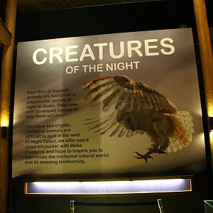 Entrance plaza expansion