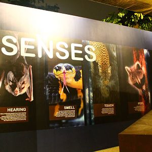 Entrance plaza expansion