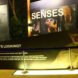 Entrance plaza expansion