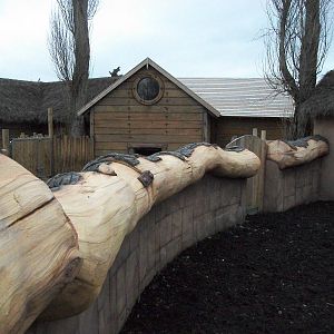 Artificial tree trunk fencing 17th February 2012