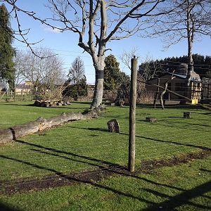 Lemur exhibit at Flamingoland 19/02/12