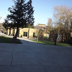 Amur Tiger exhibit at Flamingoland 19/02/12