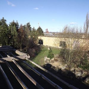 Amur Tiger exhibit at Flamingoland 19/02/12
