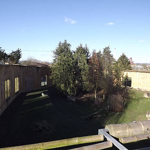 Amur Tiger exhibit at Flamingoland 19/02/12