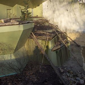 Old Polar Bear Enclosure