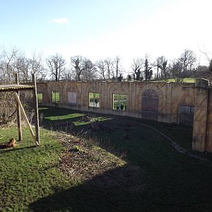 Sumatran Tiger exhibit at Flamingoland 19/02/12