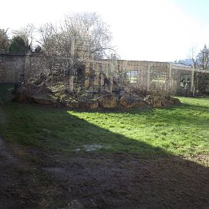 Amur Tiger exhibit at Flamingoland 19/02/12