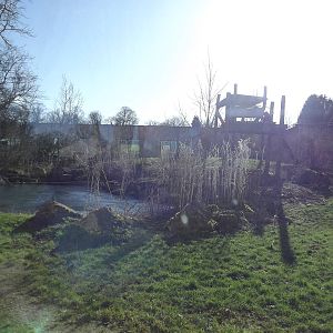 Sumatran Tiger exhibit at Flamingoland 19/02/12