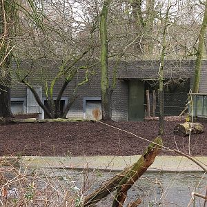 Malayan Tapir Enclosure