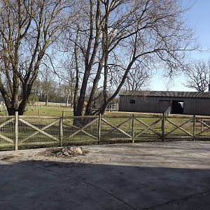 Bactrian Camel exhibit at Flamingoland 19/02/12