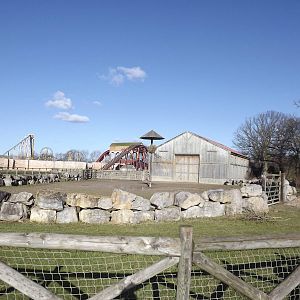 Giraffe exhibit at Flamingoland 19/02/12