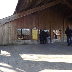 Giraffe viewing at Flamingoland 19/02/12