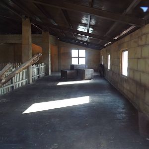 Indoor Lion Exhibit at Flamingoland 19/02/12