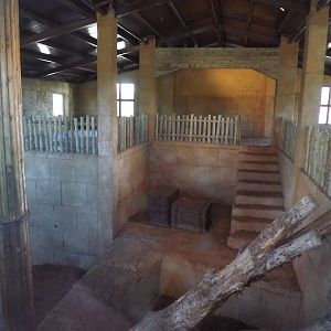 Indoor Lion exhibit at Flamingoland 19/02/12