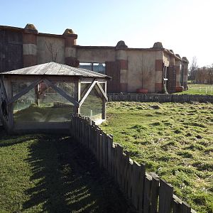 Tortoise enclosure at Flamingoland 19/02/12