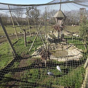 Crane aviary at Flamingoland 19/02/12