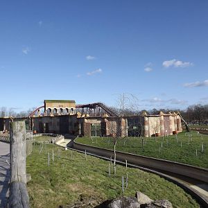 Lion Exhibit at Flamingoland 19/02/12