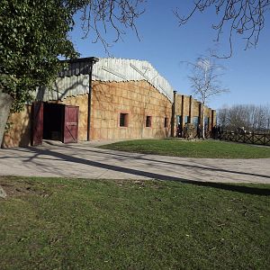 Chimpanzee exhibit at Flamingoland 19/02/12
