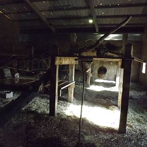 Chimpanzee indoor exhibit at Flamingoland 19/02/12