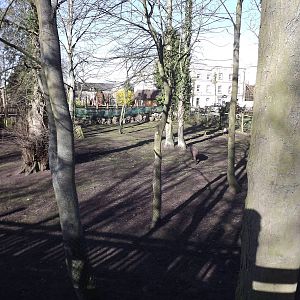 South American exhibit at Flamingoland 19/02/12