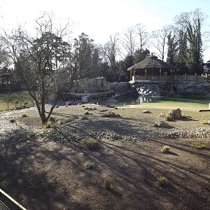 Penguin exhibit at Flamingoland 19/02/12