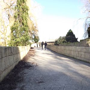 Walkway to Tigers at Flamingoland 19/02/12