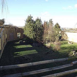 Amur Tiger exhibit at Flamingoland 19/02/12