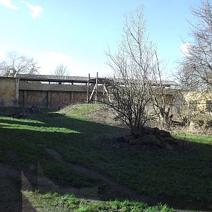Sumatran Tiger Exhibit at Flamingoland 19/02/12
