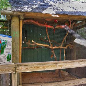 bad parrot cage - Feb 2012