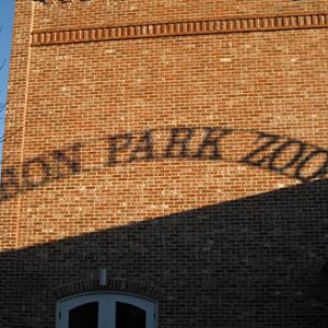 Shadows from sign - Feb 2012