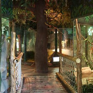 Reptile housee interior - Feb 2012