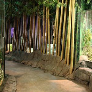 Reptile house interior - Feb 2012