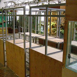 new expositions at Terrarium House - under construction