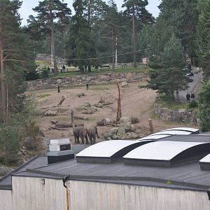Elephant enclosure