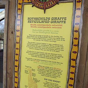Giraffe signage at Flamingoland 19/02/12