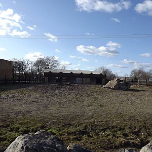 White Rhino yard at Flamingoland 19/02/12