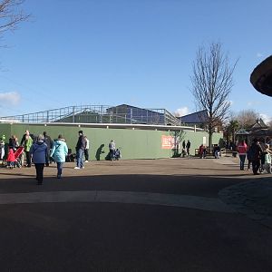 Entrance Building Works at Chester, 19/02/12